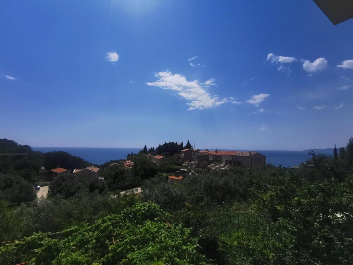 Apartments Djedovic 2 Petrovac المظهر الخارجي الصورة