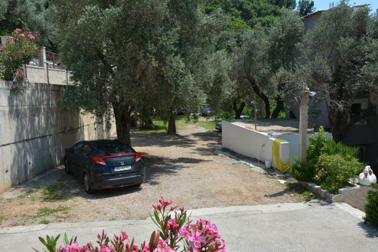 Apartments Djedovic 2 Petrovac المظهر الخارجي الصورة